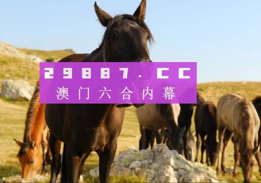 澳门管家婆100正确答案和2025年澳门正版免费资本车,澳门管家婆的精准答案与未来的资本车展望