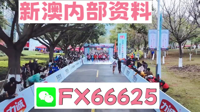 澳门正版挂牌与管家婆四肖预测，未来趋势与机遇揭秘